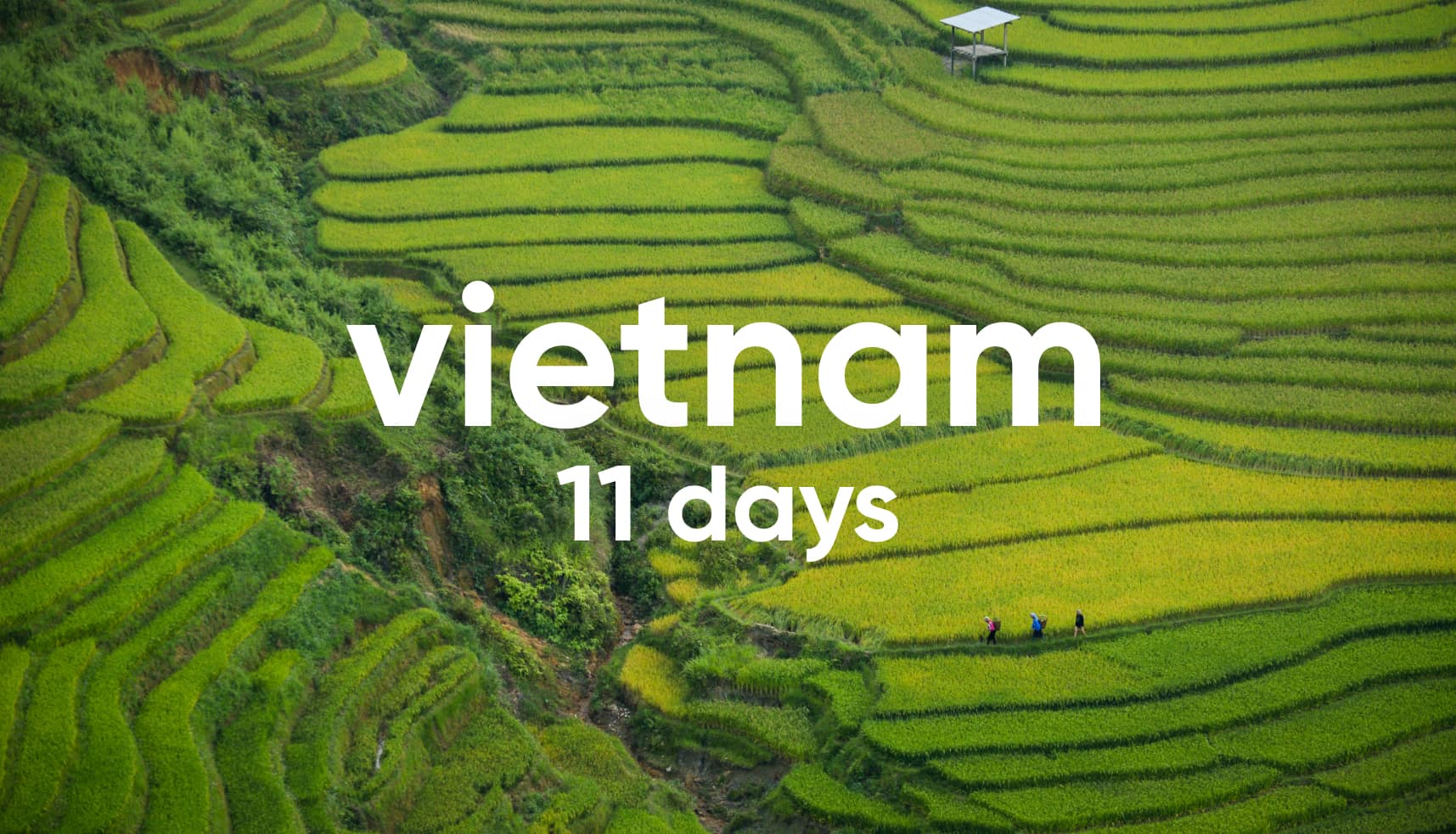 Explore Vietnam-11 Days: Best Routes For Culture & Nature