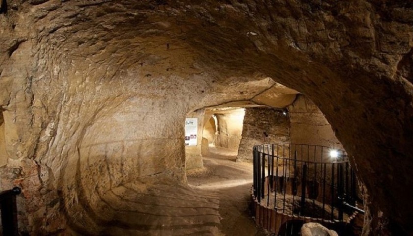 Rung-Quoc-Gia-Cuc-Phuong-hang-con-mong