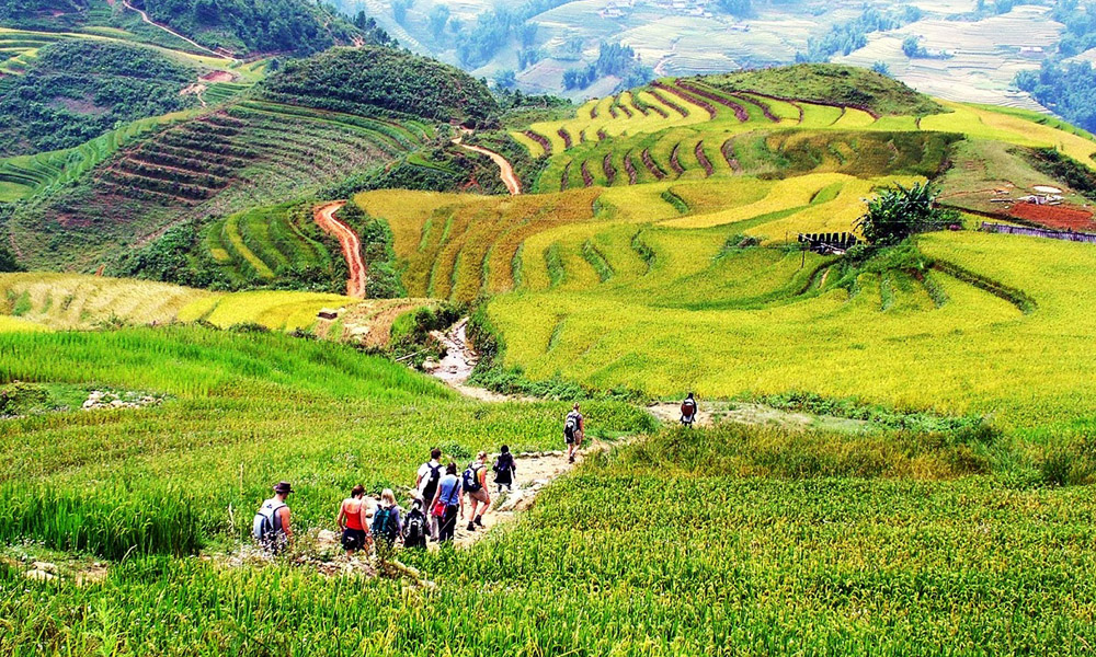 Hiking routes through Muong Hoa Valley, adventurous places to see in Sapa