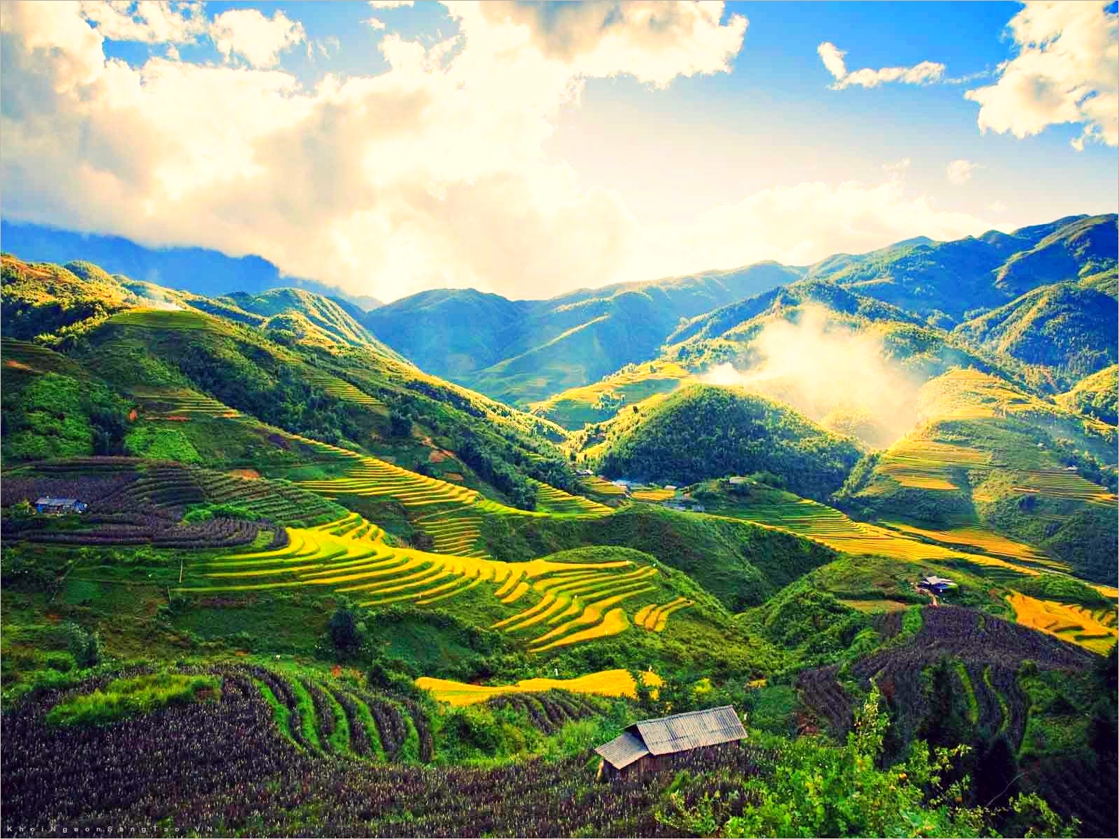Lush green rice terraces during spring and summer in SaPa Vietnam