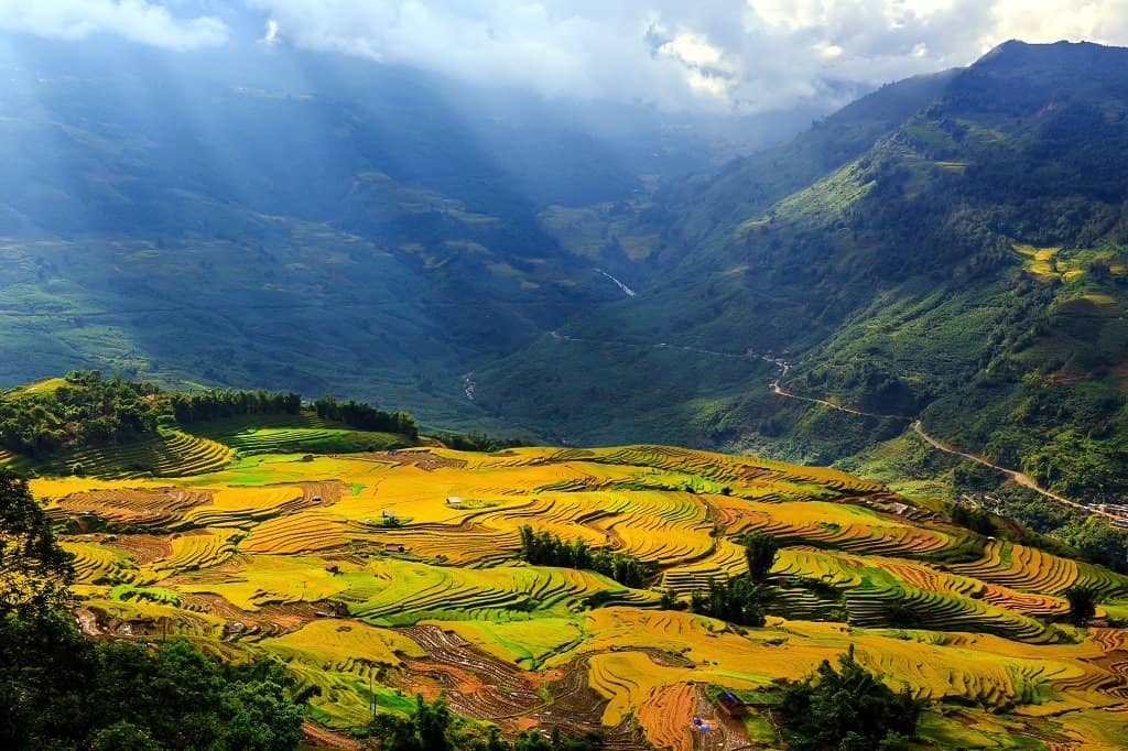 Muong Hoa Valley with rice terraces, one of the most scenic places to see in Sapa