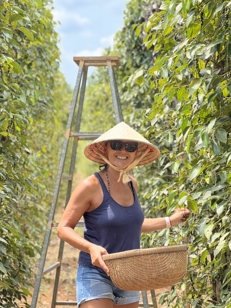 Pepper gardenLAND1(1)