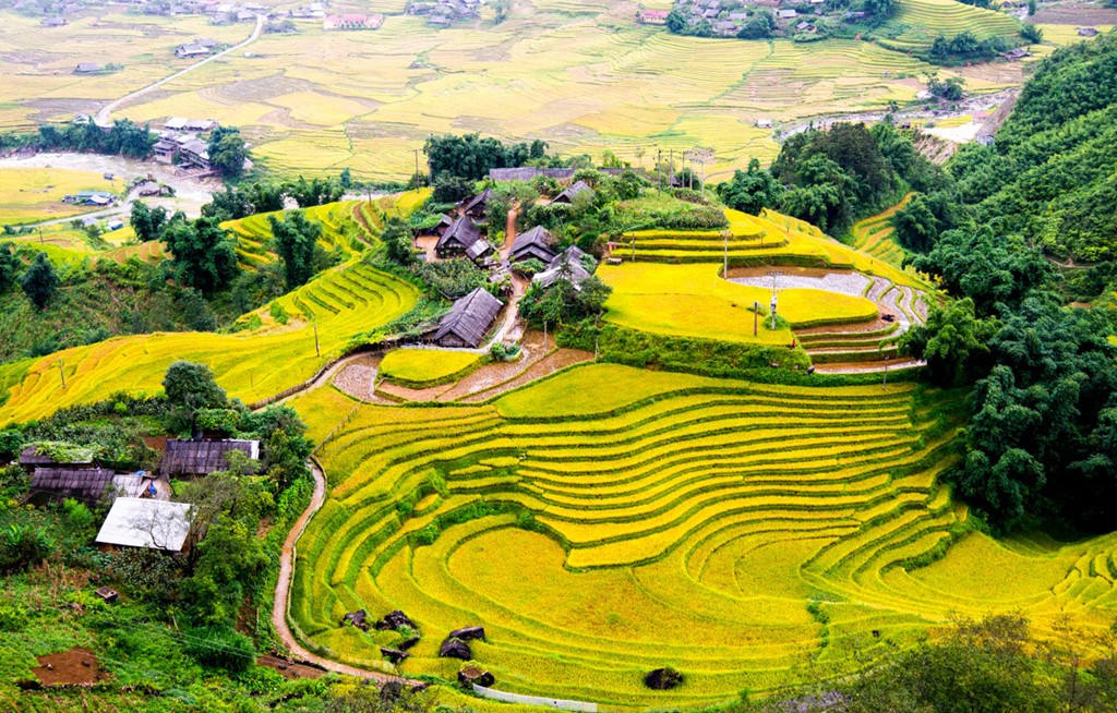Rice terraces and ethnic villages in Muong Hoa Valley, timeless places to see in Sapa