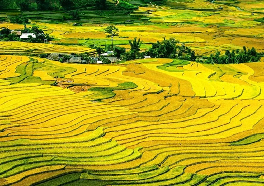Seasonal landscapes showing the best time to visit places to see in Sapa