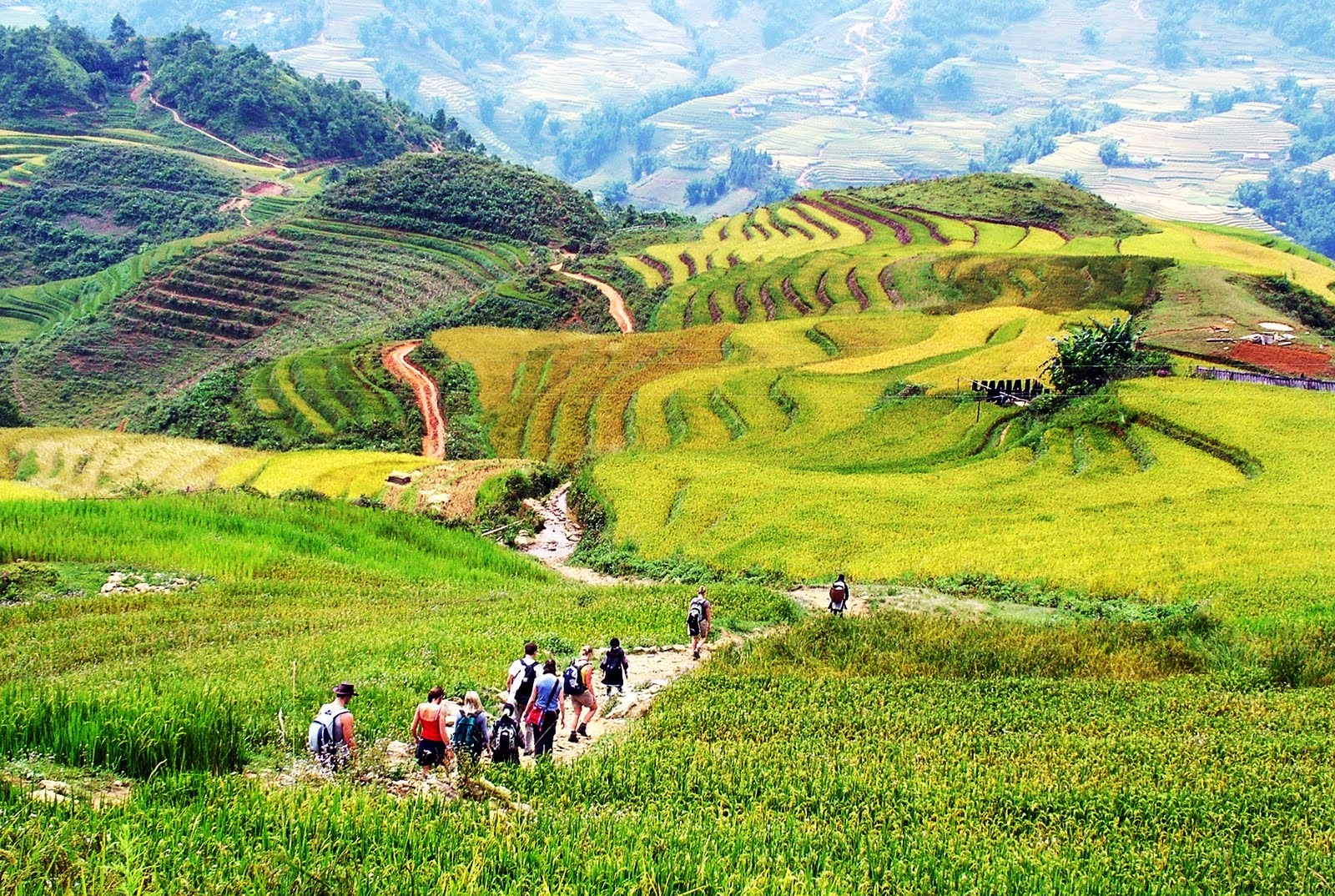 Trekking through rice terraces in Lao Chai and Ta Van villages in Sapa