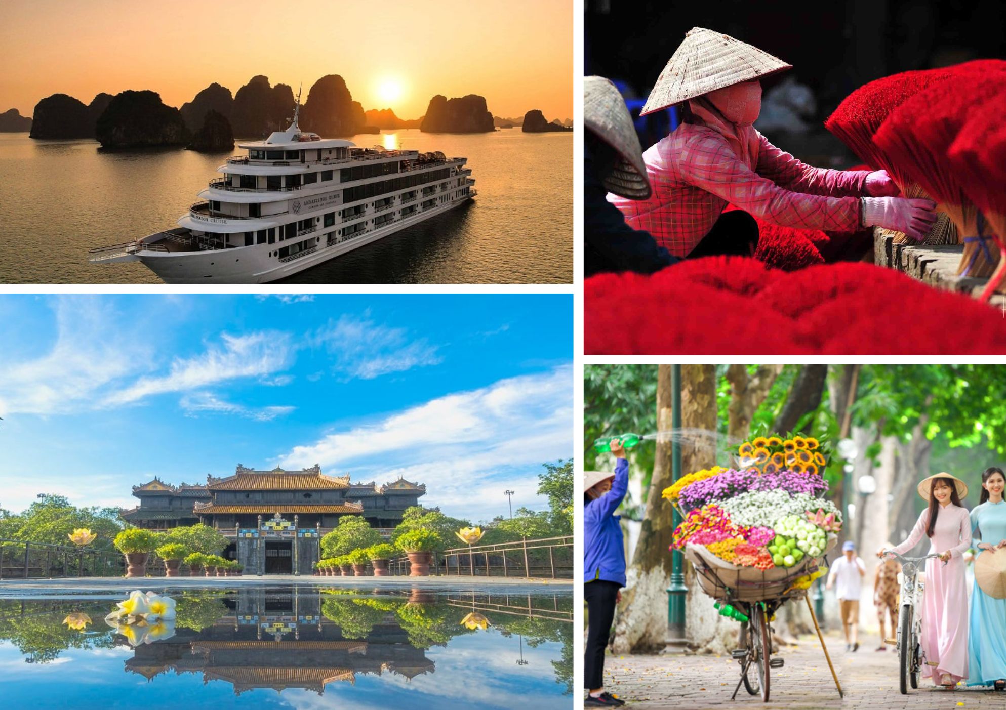 how to choose the best Vietnam tours packages 2026 for different travel styles