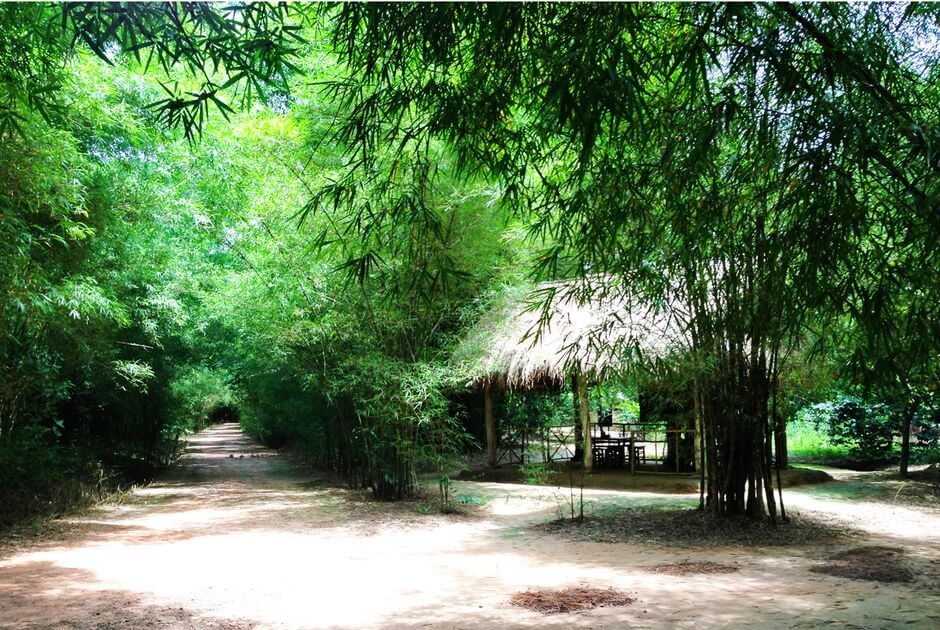 Best visiting conditions during dry season at Cu Chi Tunel