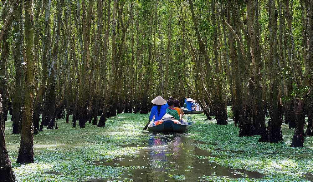 Boat journey through canals of the Mekong Delta