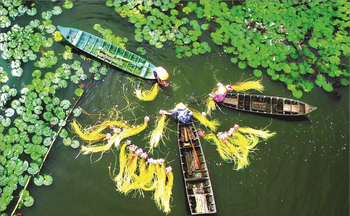 Climate overview of Southern Vietnam 