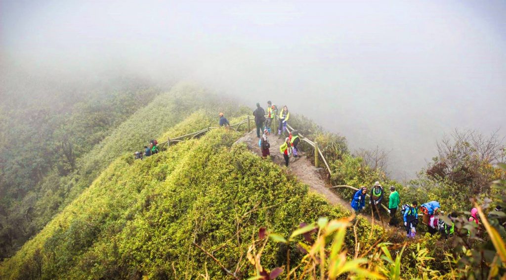 Fansipan Base Trek featured in a Vietnam trekking guide