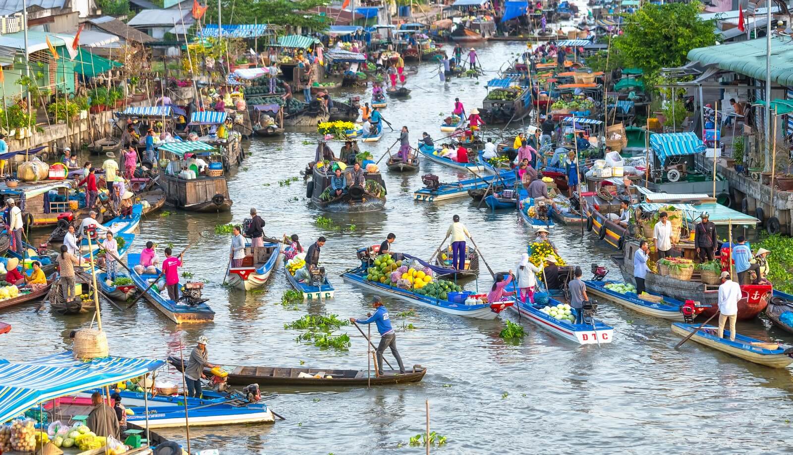 Floating market scene in the Mekong Delta