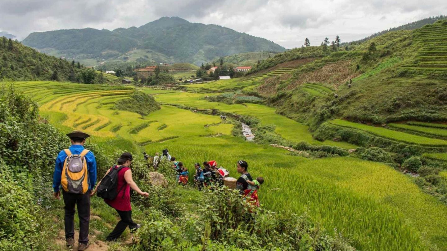Guided trekking experience for international travelers in Vietnam