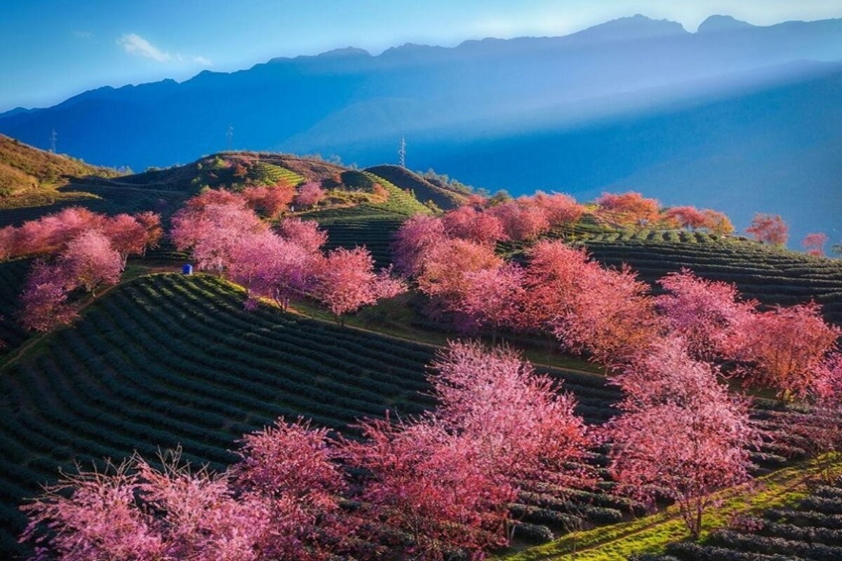 Ideal weather conditions during the best time to visit North Vietnam