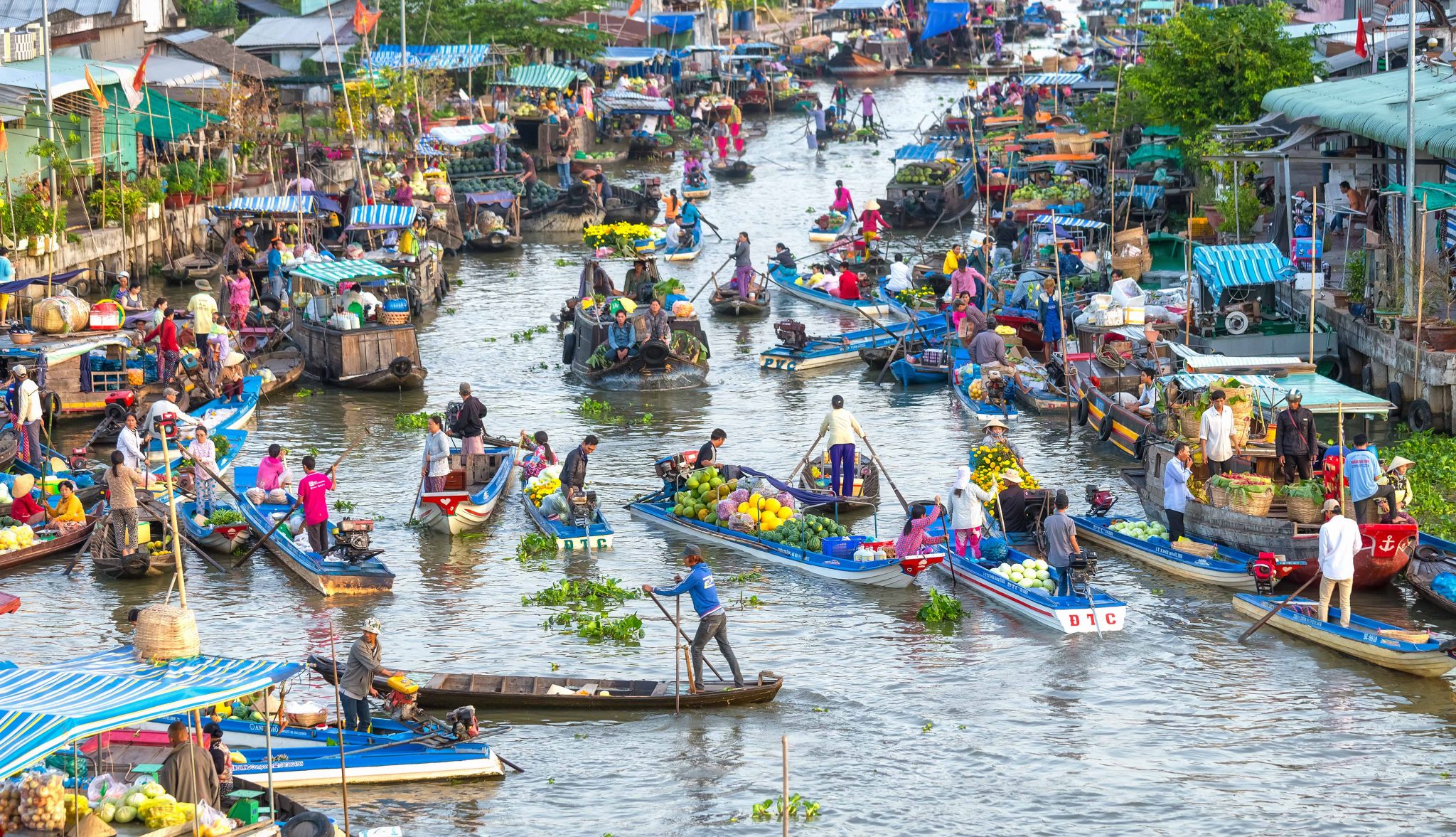 Mekong Delta travel experience influenced by seasonal water levels