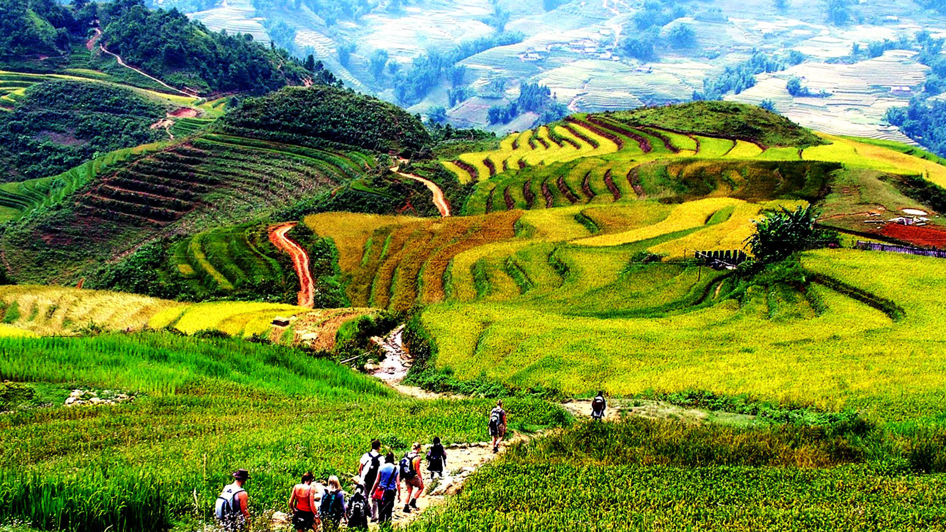 Mountain climate and trekking scenery in Sapa, North Vietnam