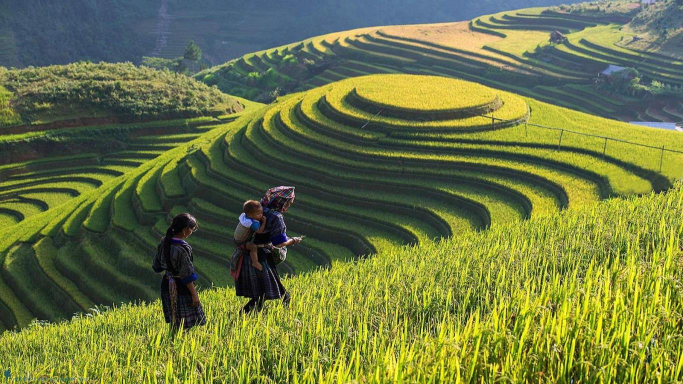 Trekking landscapes across Vietnam from mountains to forests