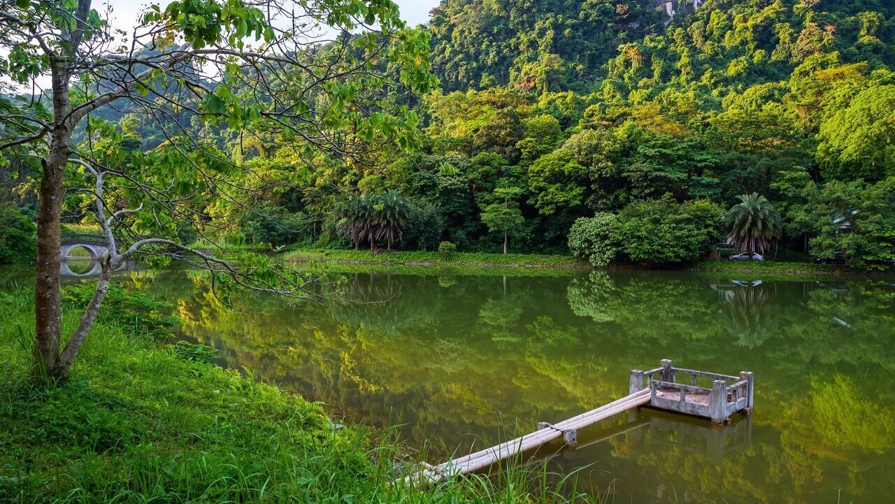 Tropical rainforest scenery in Cuc Phuong National Park