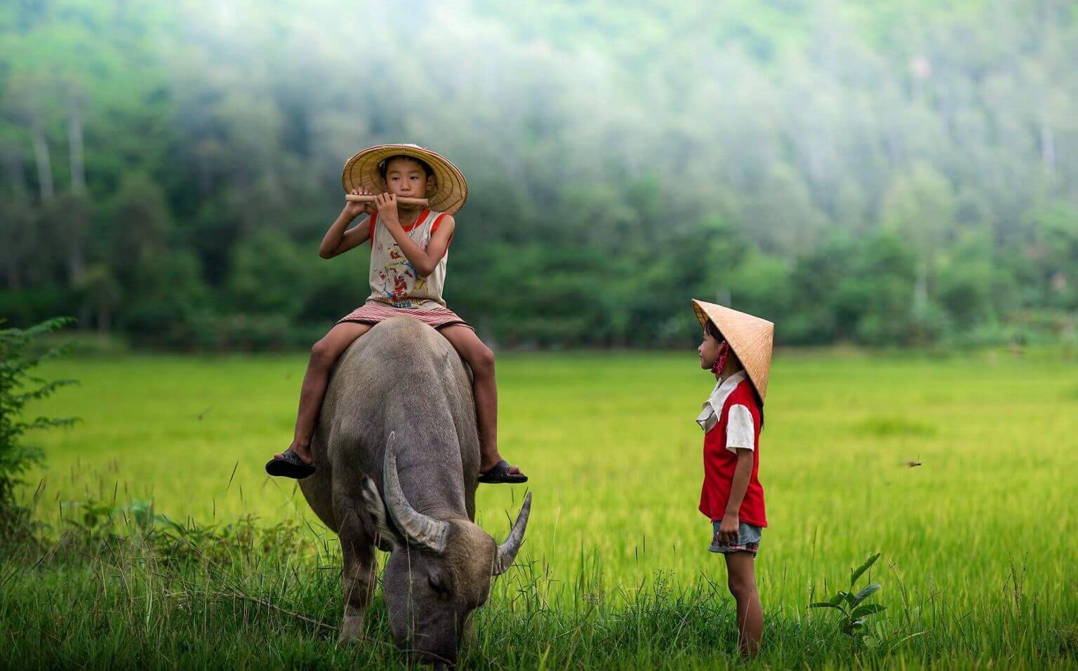 Vietnam Etiquette For Foreigners: 7 Rules To Know