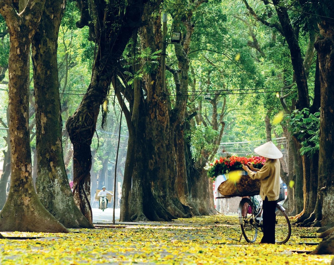 Vietnam tour from Hanoi during the best travel seasons from north to central regions