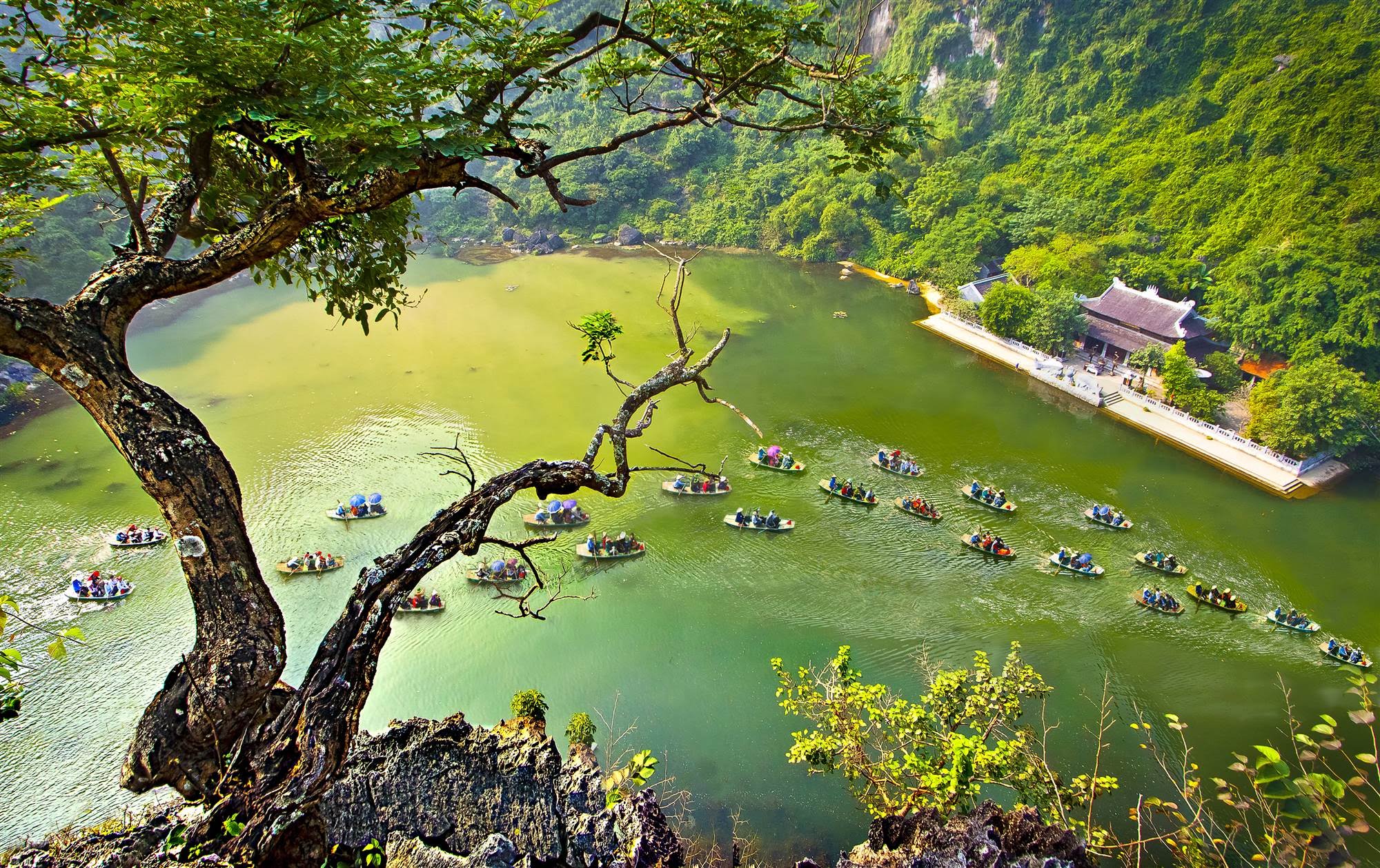Vietnam tour from Hanoi featuring Ninh Binh’s ancient capital and limestone landscapes