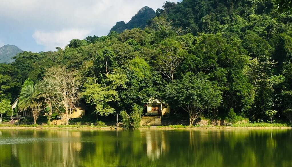 Ancient rainforest and rich biodiversity in Cuc Phuong National Park