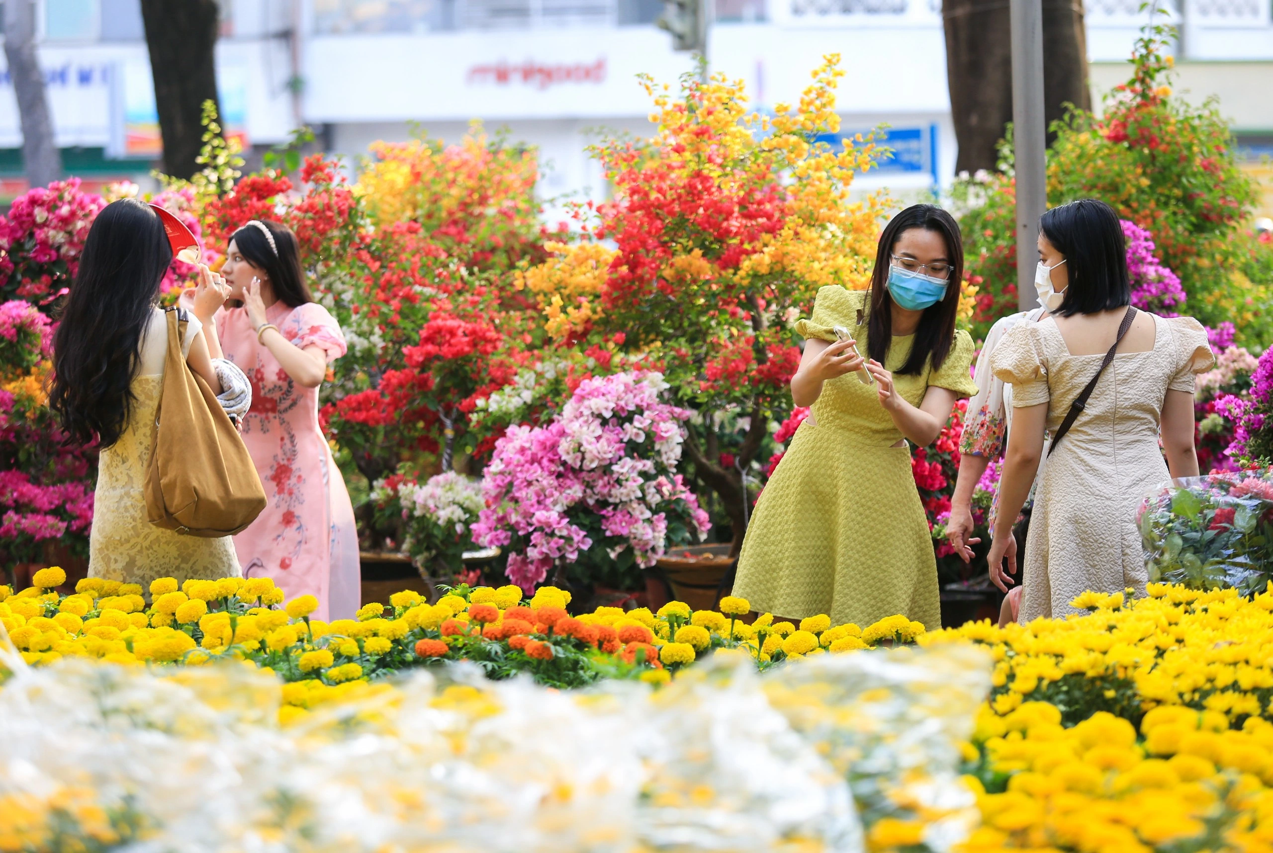 Early-year festival taking place in northern Vietnam