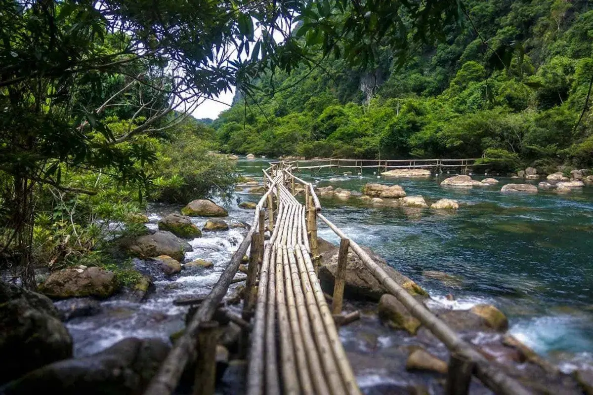 Essential travel tips for visiting national parks in Vietnam safely