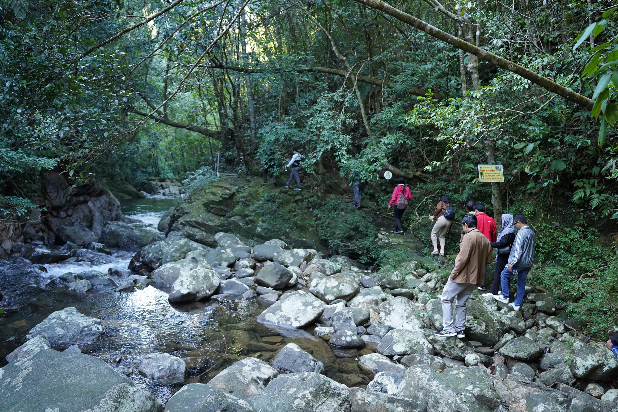 Forest trail leading to a waterfall in Bach Ma National Park
