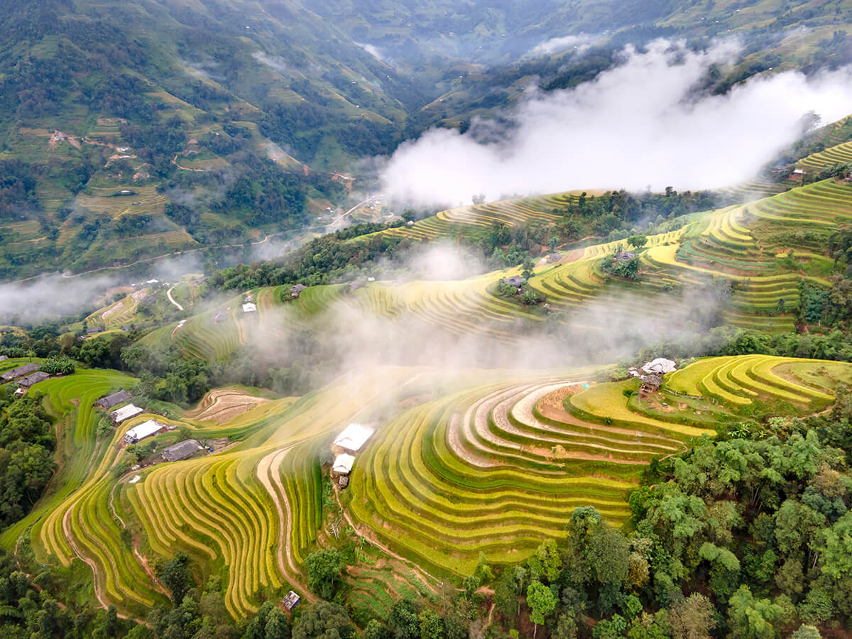 Hoang Su Phi terraced rice fields in a remote mountain region