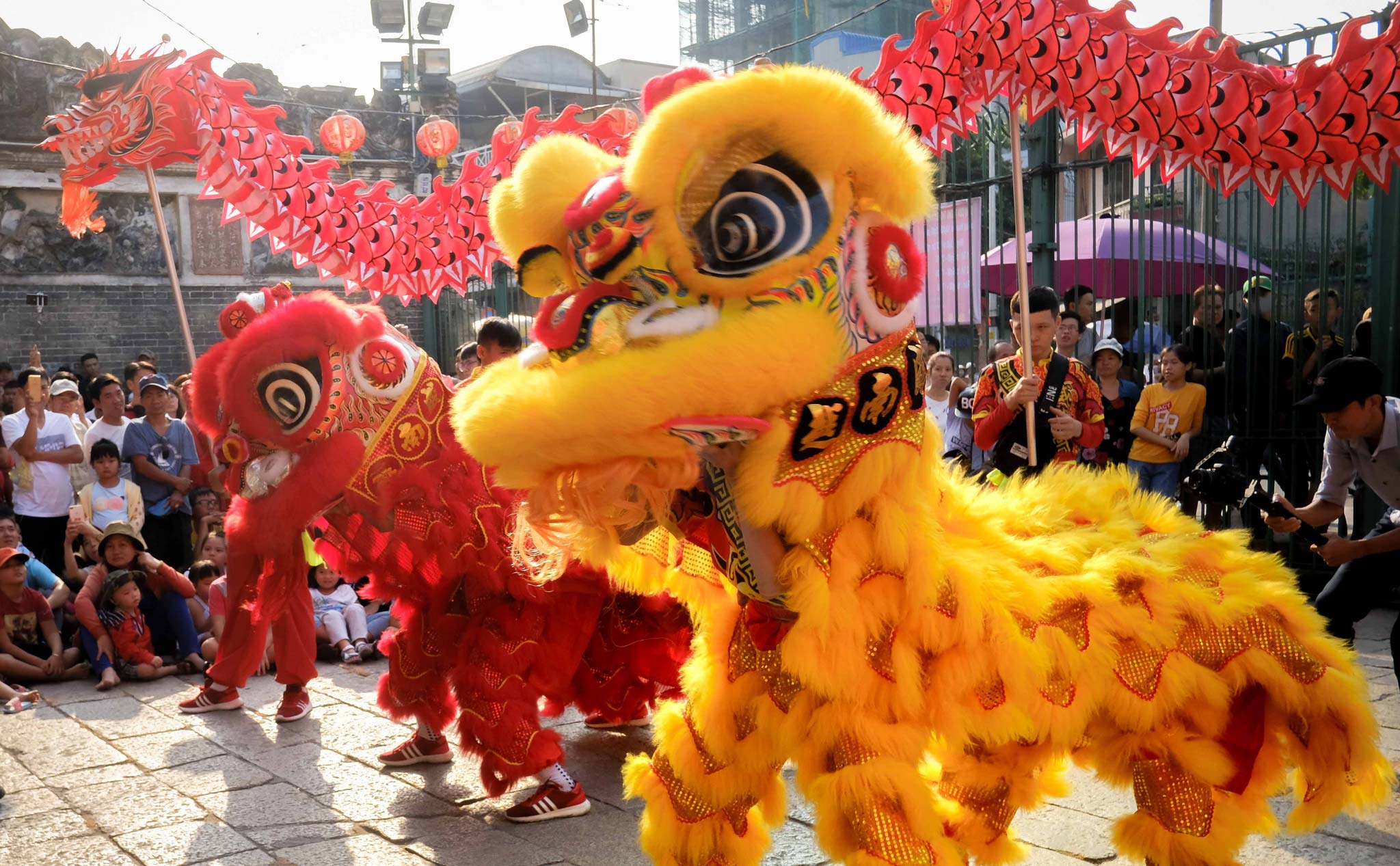 Lion dance performance welcoming the new year