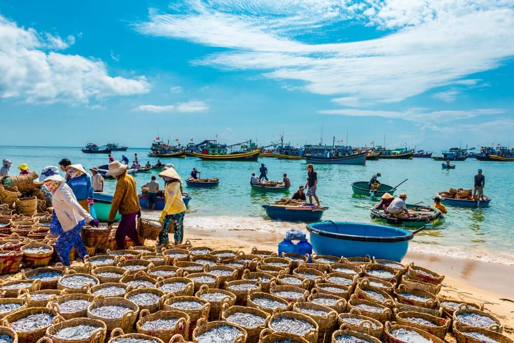 Local fishing village life near Vietnam’s beaches reflecting coastal culture and traditions