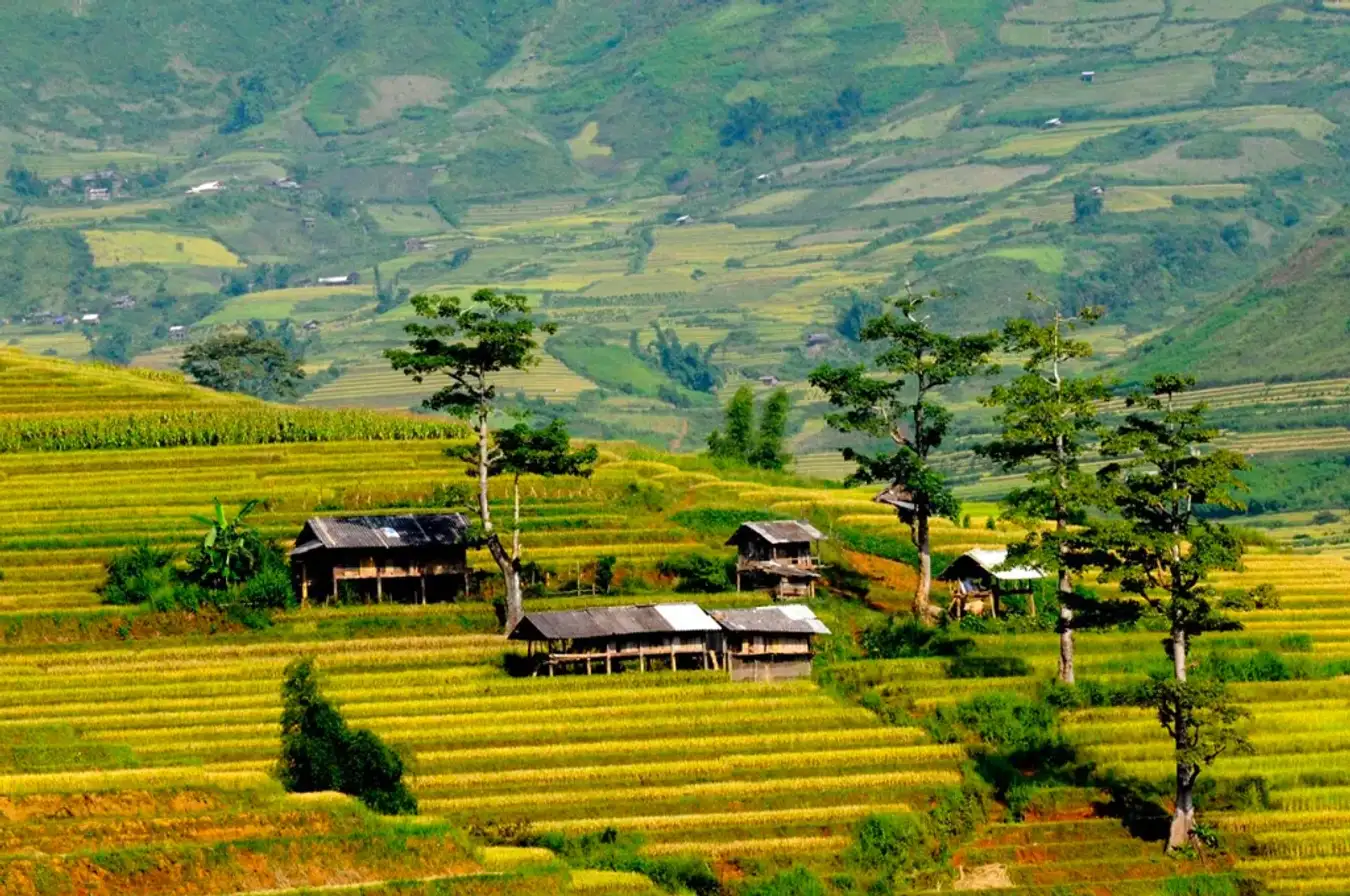 Mountains And Highlands In Vietnam: Scenic Regions Guide