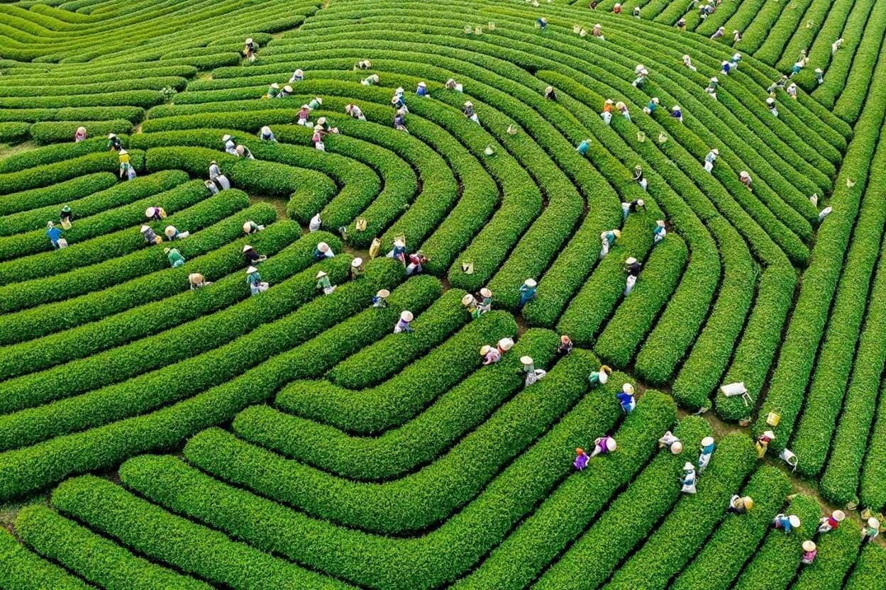 Northern Vietnam highlands climate