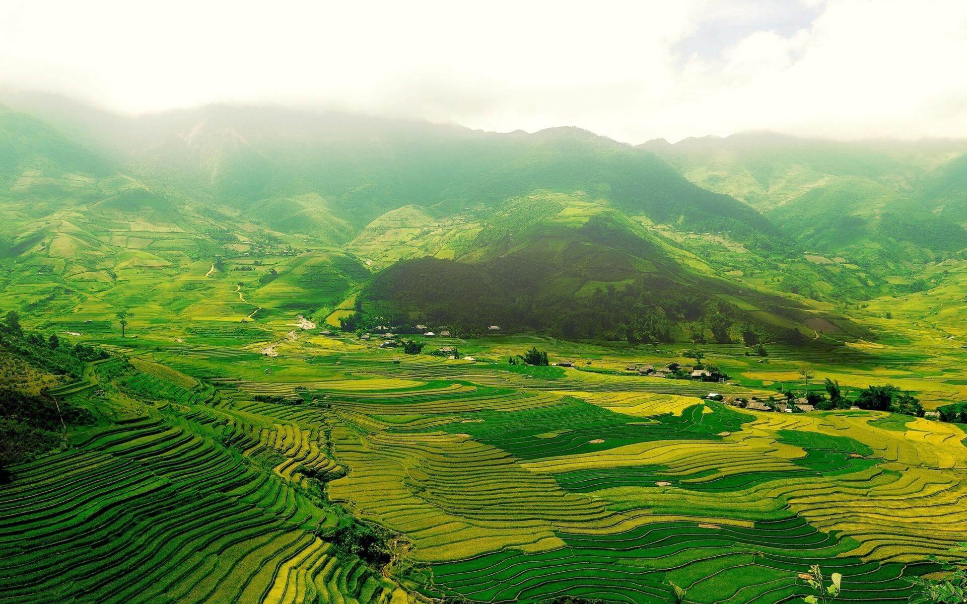 Northwest Vietnam rice terraces