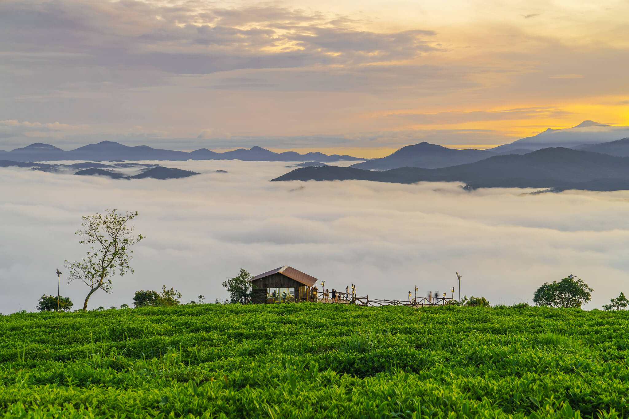 Pine forests, lakes, and rolling hills in Da Lat’s highland landscape