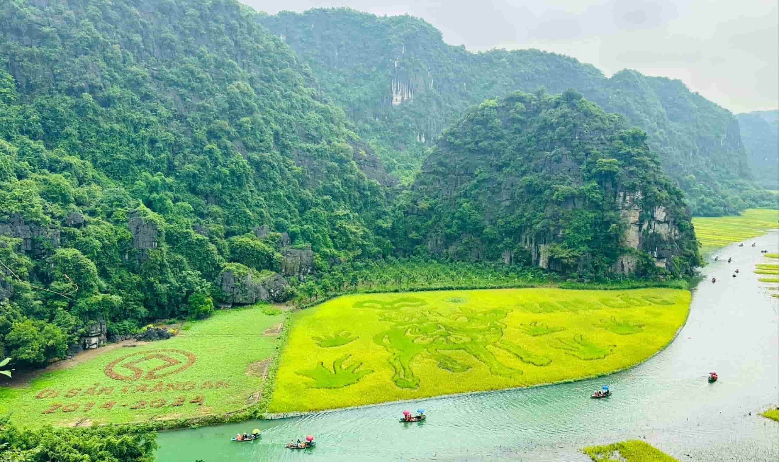 Rice fields along rivers in Tam Coc surrounded by limestone cliffs