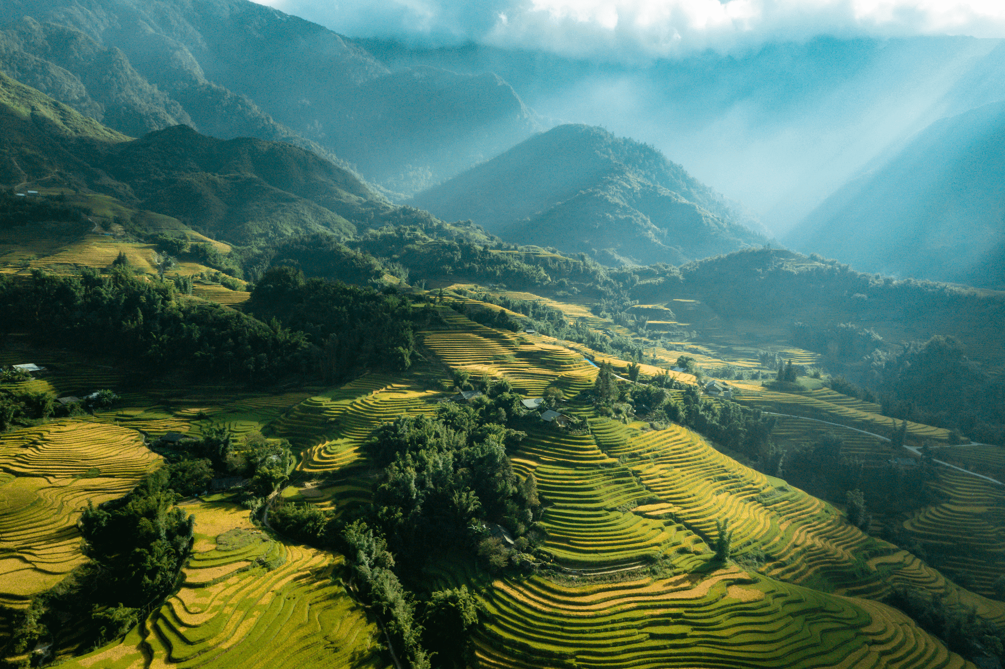 Sapa rice terraces surrounded by misty mountains