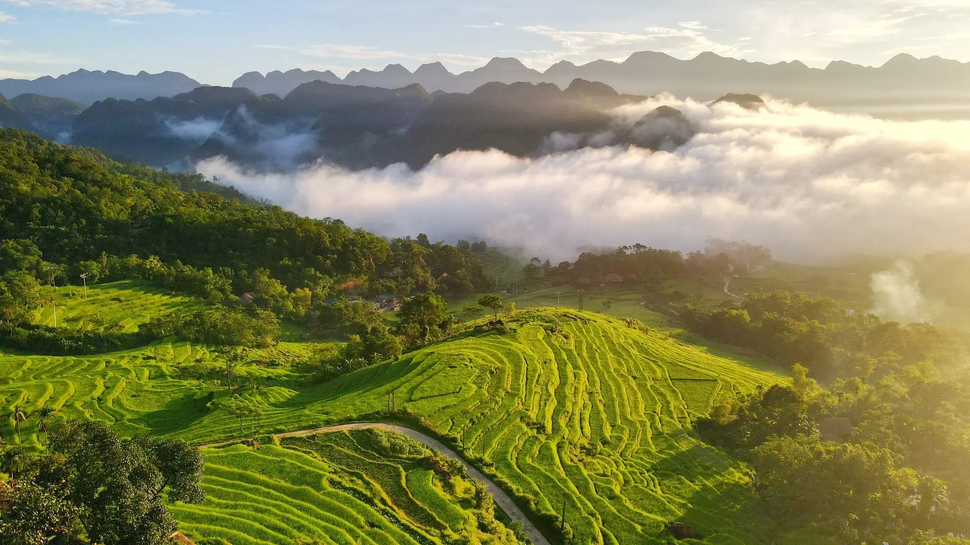 Seasonal conditions for exploring national parks in Vietnam