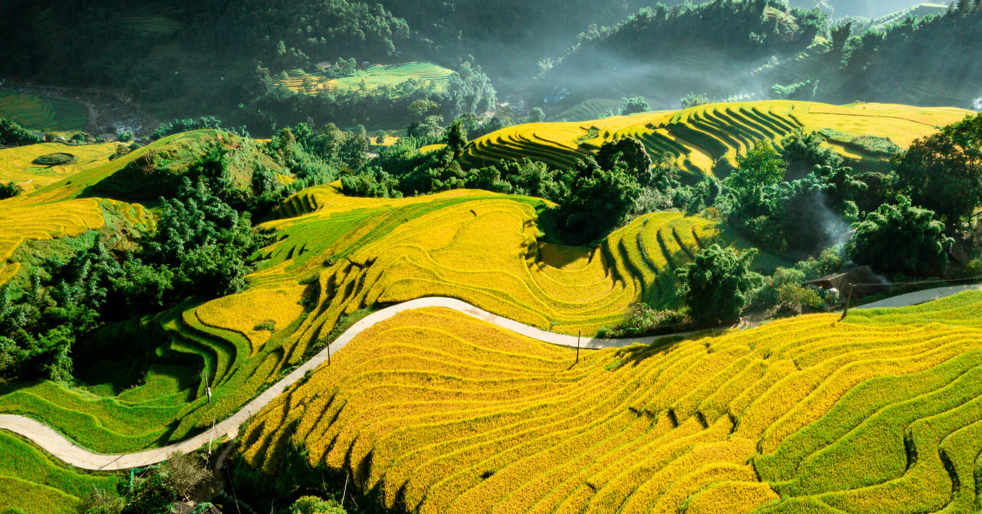 Terraced rice fields and misty mountains in Sapa, northern Vietnam