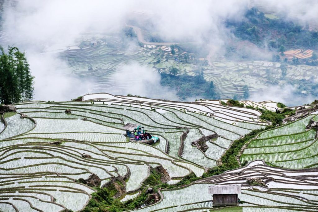Terraced rice fields in Sapa during guided Sapa trekking tours