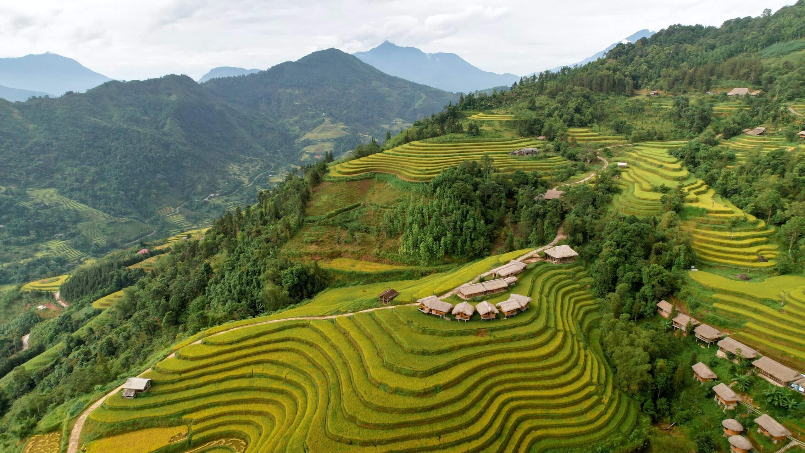 Vietnam mountains landscape