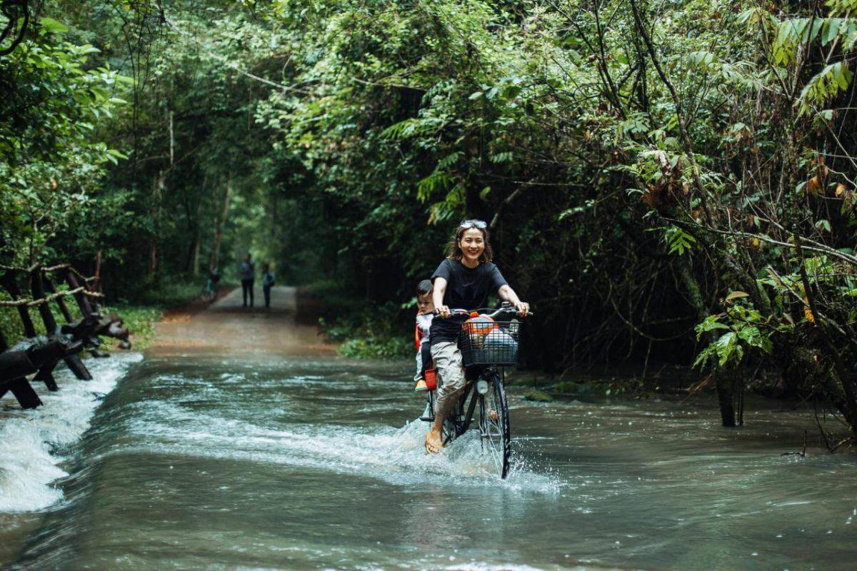 Waterfall in the rainforest