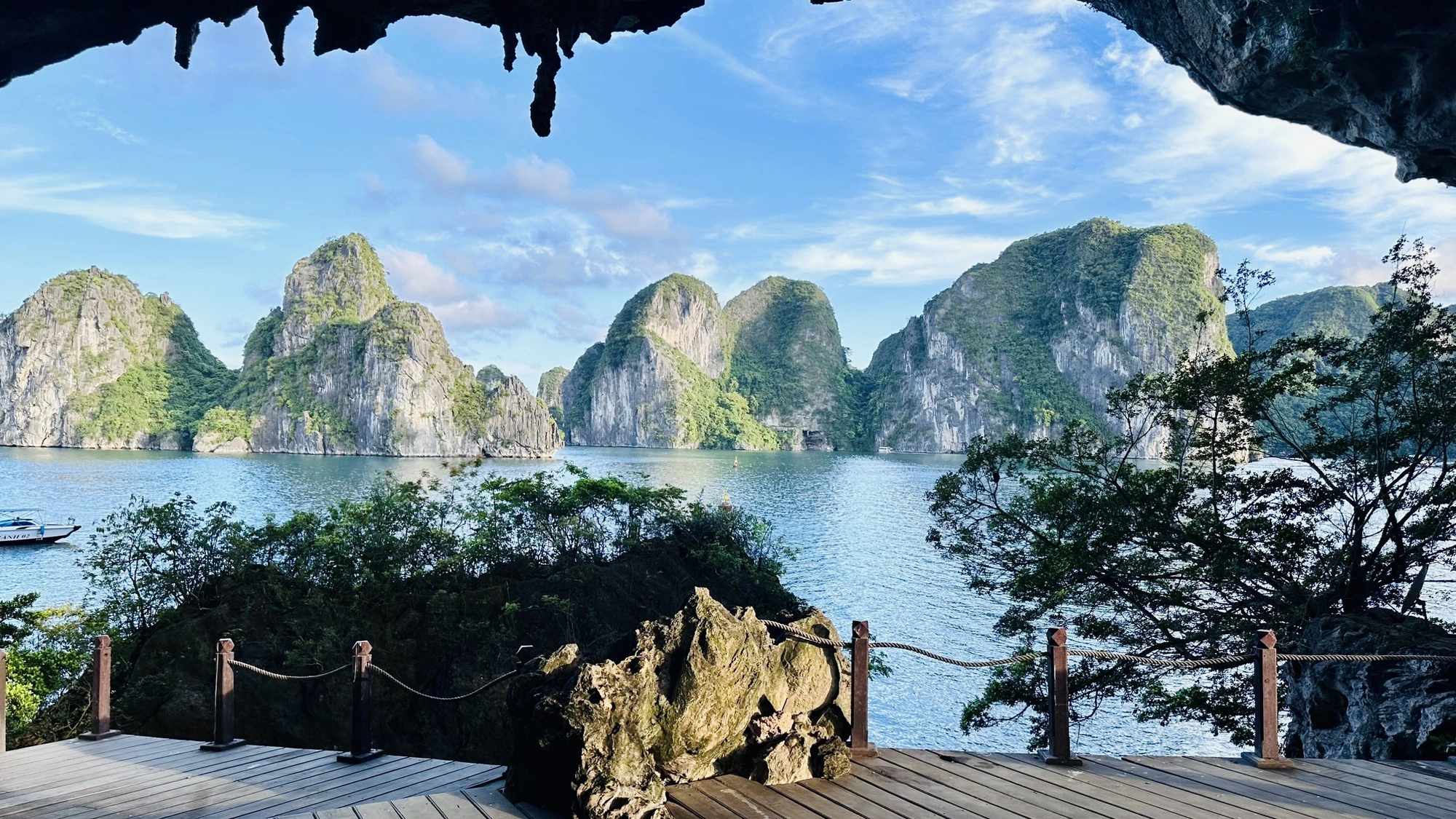 Dramatic limestone karst formations rising from the water in Ha Long Bay