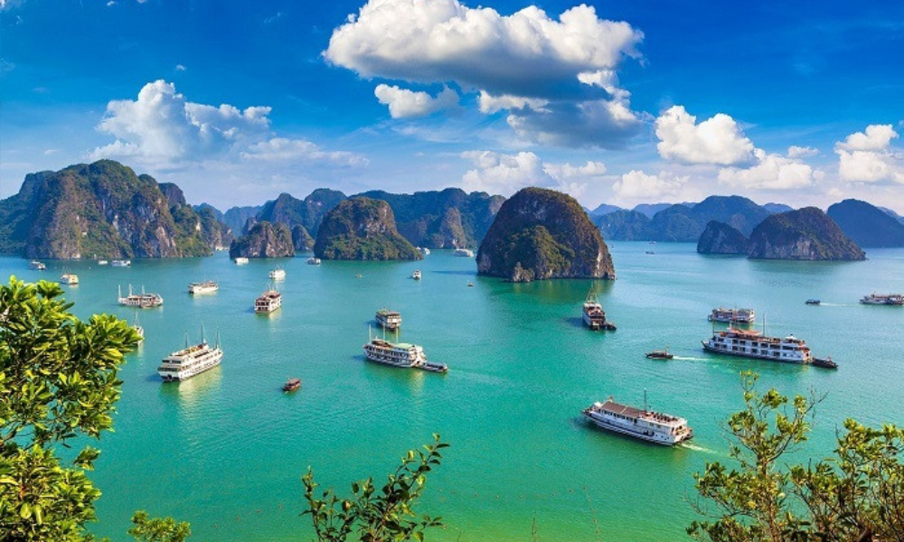 Ha Long cruise