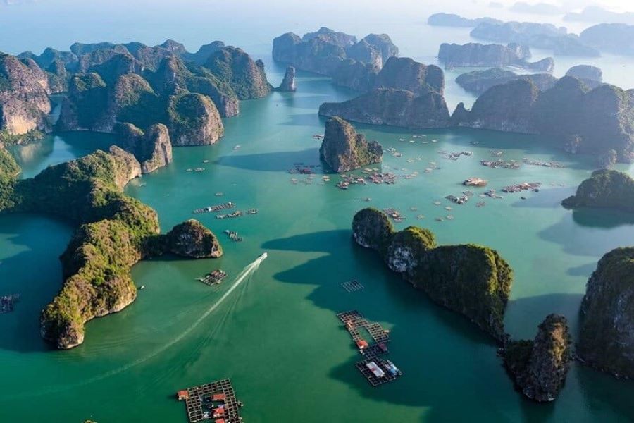 Panoramic view of limestone karsts and cruise boats in Ha Long Bay