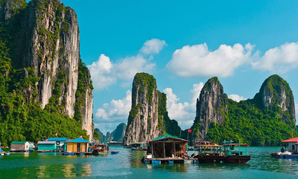 squid fishing in Ha Long Bay 4