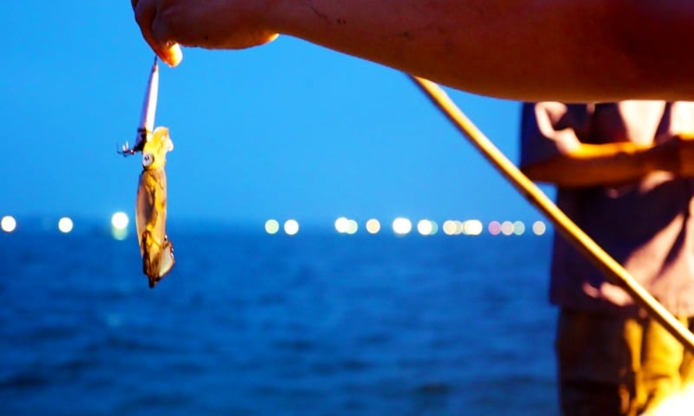 squid fishing in Ha Long Bay 6