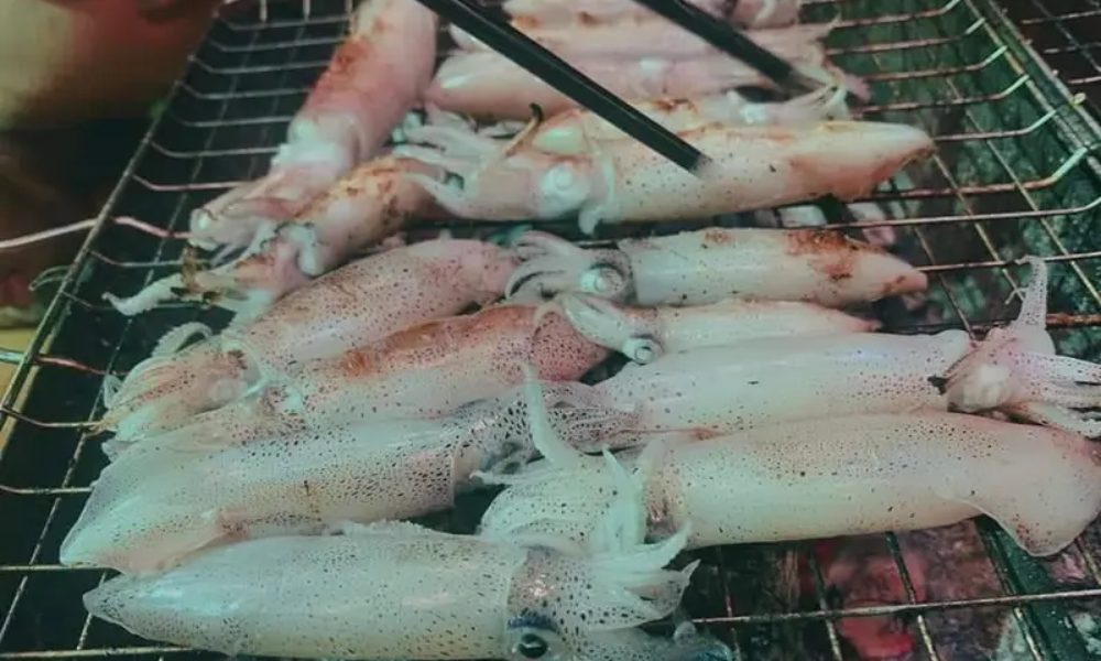 squid fishing in Ha Long Bay 9