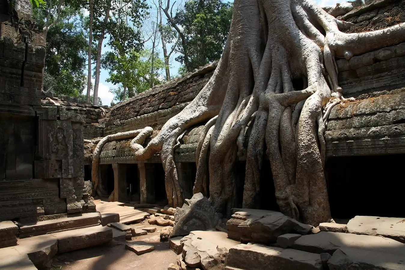Ancient ruins of Ta Prohm temple surrounded by giant tree roots