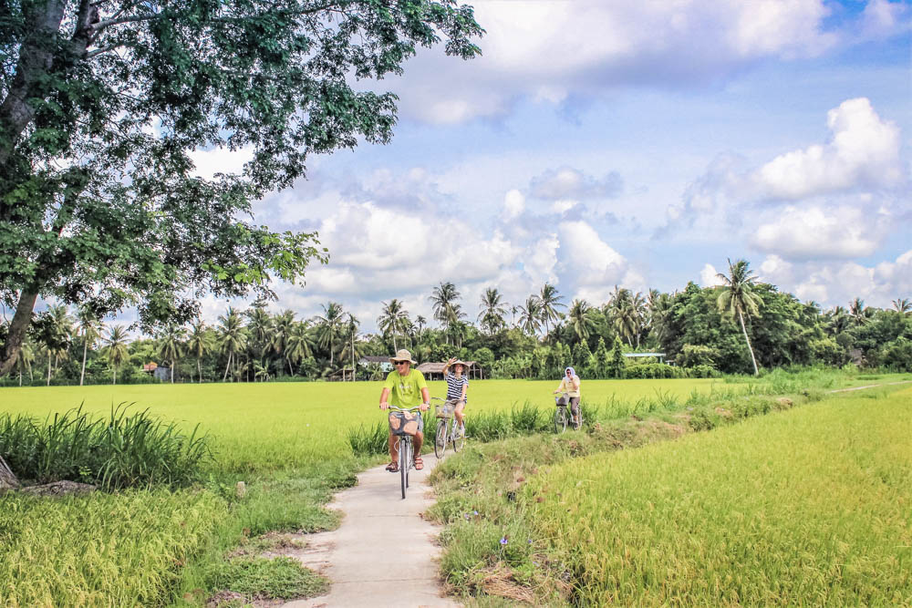 Cycling along quiet rural paths with rice fields and local houses